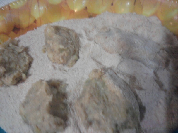 Kuracie prsia s tekvicovou plackou (fotorecept) - obrázok 3