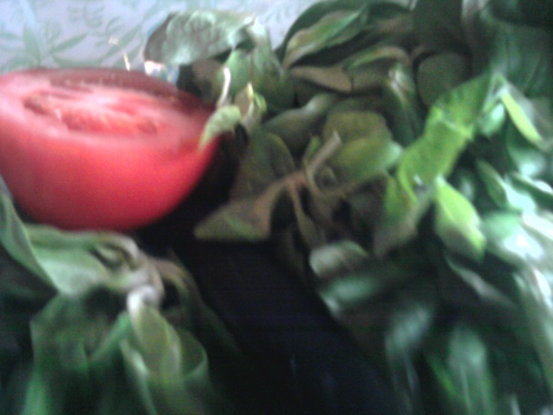 Kuracie prsia s tekvicovou plackou (fotorecept) - obrázok 4