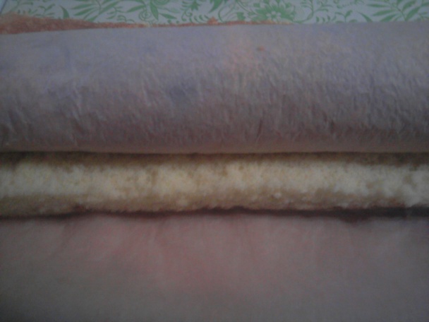 Punčový valec (fotorecept) - obrázok 1