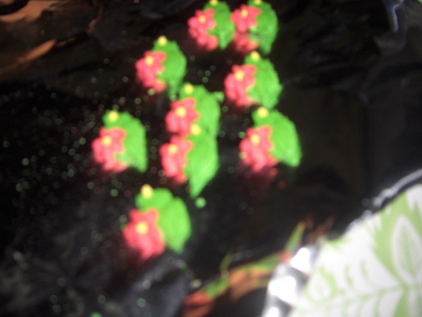 Kvietky v kvetináči (fotorecept) - obrázok 4