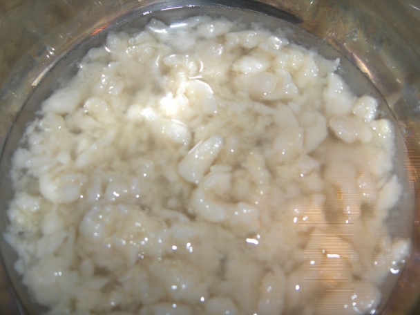 Seitan na paprike (fotorecept) - obrázok 3