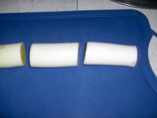 Pórové rolky (fotorecept) - obrázok 1