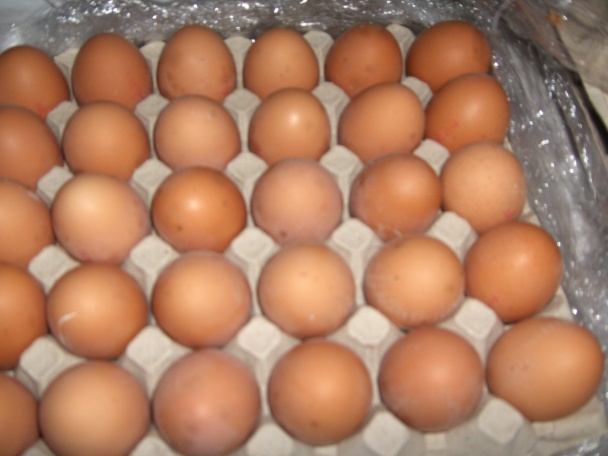 Mrazené vajcia (fotorecept) - obrázok 1