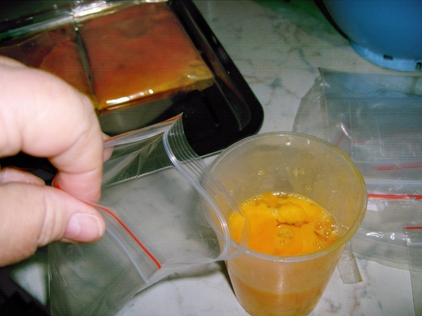 Mrazené vajcia (fotorecept) - obrázok 2