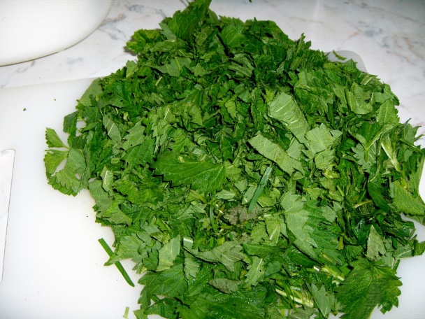 Žihľavový pretlak (pesto) (fotorecept) - obrázok 1
