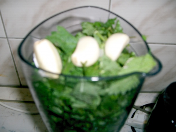 Žihľavový pretlak (pesto) (fotorecept) - obrázok 3