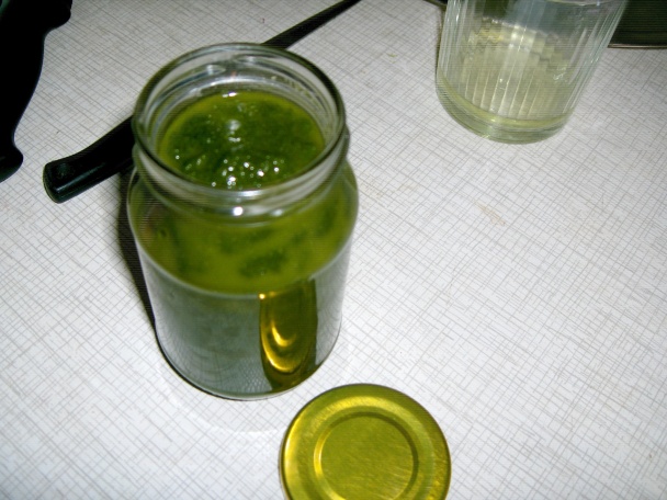 Žihľavový pretlak (pesto) (fotorecept) - obrázok 6