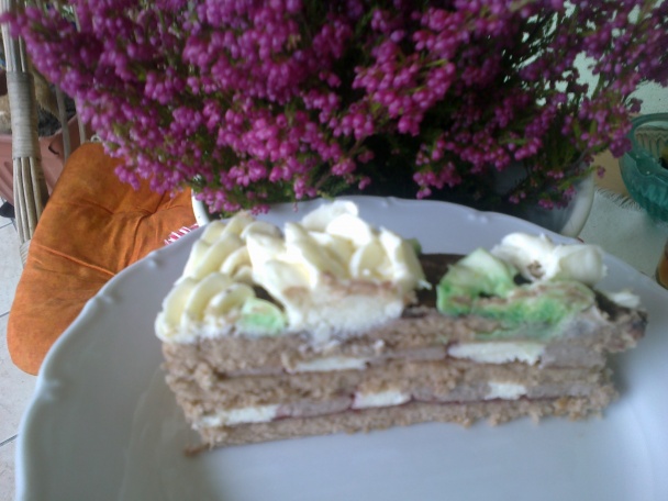 Smotanovo-kakaová torta DIA (fotorecept) - obrázok 4