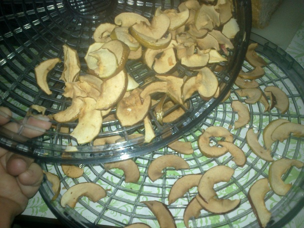 Jablkový čaj/fotorecept/ - obrázok 1