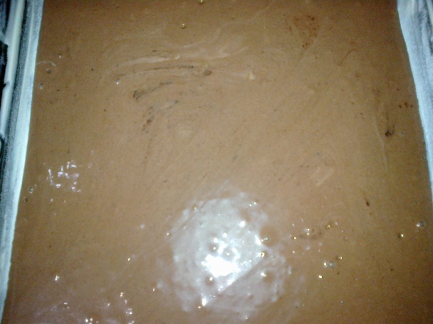 Tvarohovo-broskyňový rez (fotorecept) - obrázok 1