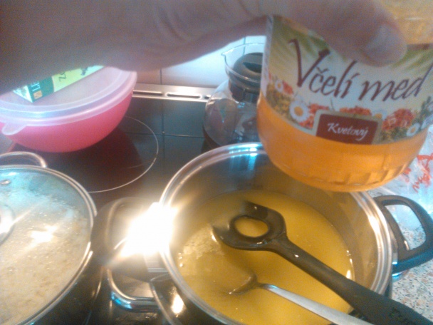 Marlenka zo salka (fotorecept) - obrázok 2