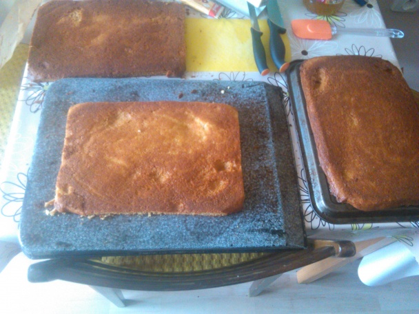 Marlenka zo salka (fotorecept) - obrázok 11