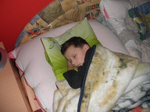 Studenvô (fotorecept) - obrázok 1