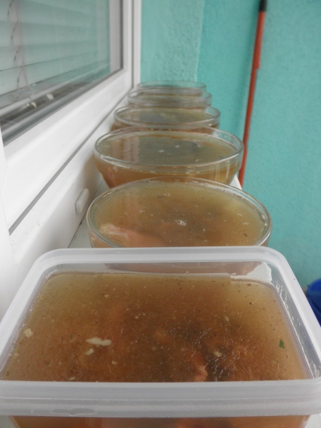 Studenvô (fotorecept) - obrázok 16