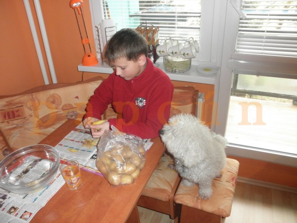 Hovädzinka špikovaná kuracími prsiami a slaninou a bravčový perkeltík (fotorecept) - obrázok 6