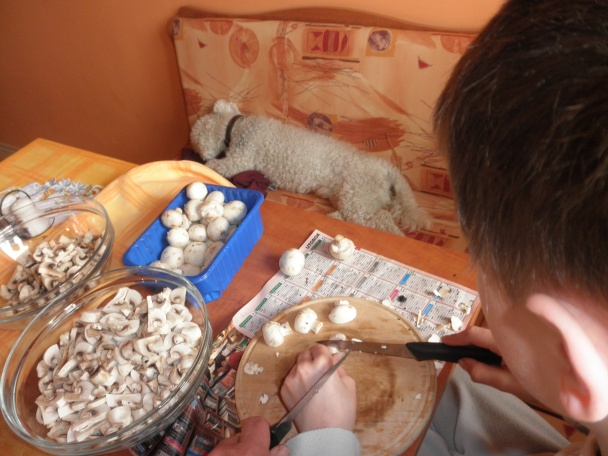 Nachmelená kupec, geršňa sus scrofa a mycelatický trojperkelt - obrázok 3