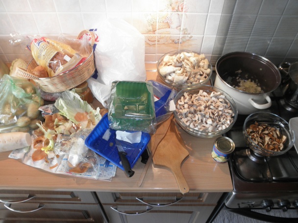 Nachmelená kupec, geršňa sus scrofa a mycelatický trojperkelt - obrázok 9