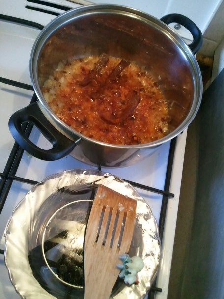 Slepý guláš sleepy (fotorecept) - obrázok 5