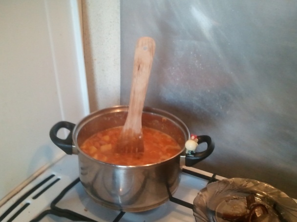 Slepý guláš sleepy (fotorecept) - obrázok 12