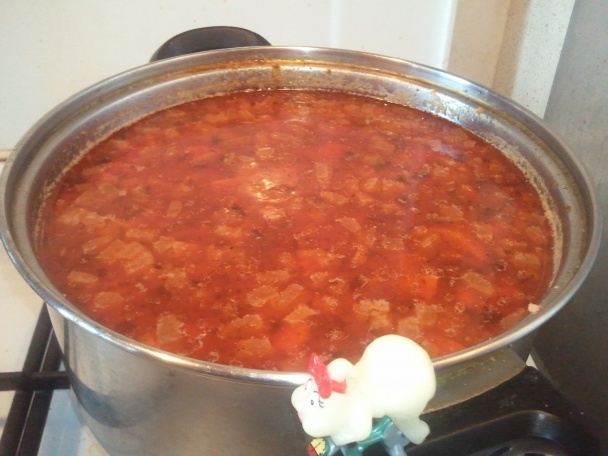 Slepý guláš sleepy (fotorecept) - obrázok 13