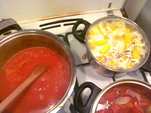 Poctivá paradajková omáčka k varenej hovädzinke - obrázok 6