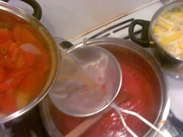 Poctivá paradajková omáčka k varenej hovädzinke - obrázok 7