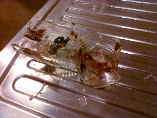 Ako si priotráviť oca ! ! ! - obrázok 4