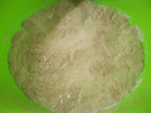 Škvarkové slimáky (fotorecept) - obrázok 1