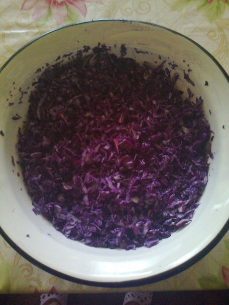 Pečené bravčové s červenou kapustou a domácou knedlou (fotorecept) - obrázok 3