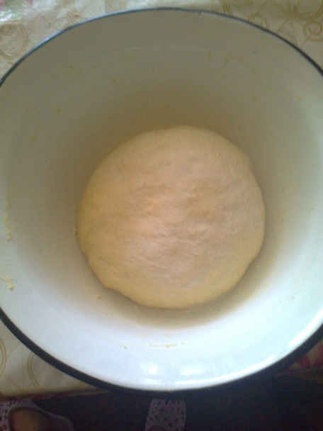 Pečené bravčové s červenou kapustou a domácou knedlou (fotorecept) - obrázok 8