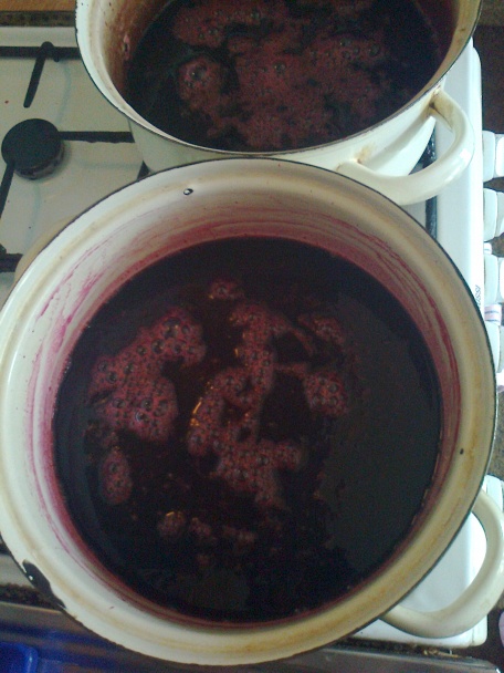 Malinovo-ríbezľovo-morušový lekvár - obrázok 2