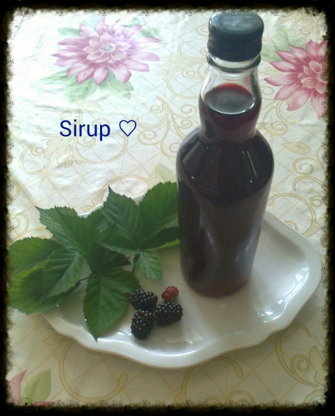 Černicový sirup - obrázok 5