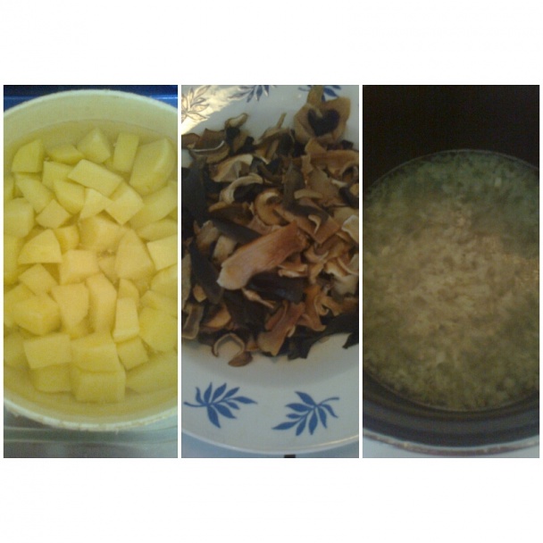 Hubová mrvenička (fotorecept) - obrázok 1