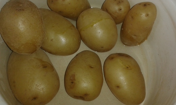 Bryndzovo-zemiakové placky (fotorecept) - obrázok 1