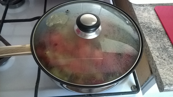 Moje super Lečo - obrázok 2