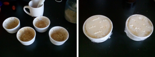 Krupicový nákyp - obrázok 2