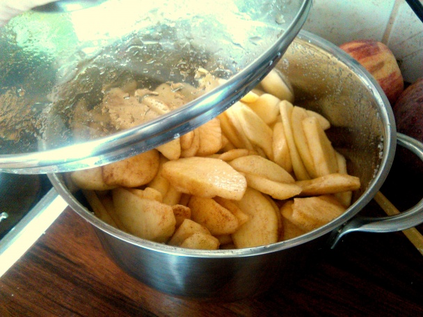 Apple pie Jablkový koláč (fotorecept) - obrázok 2