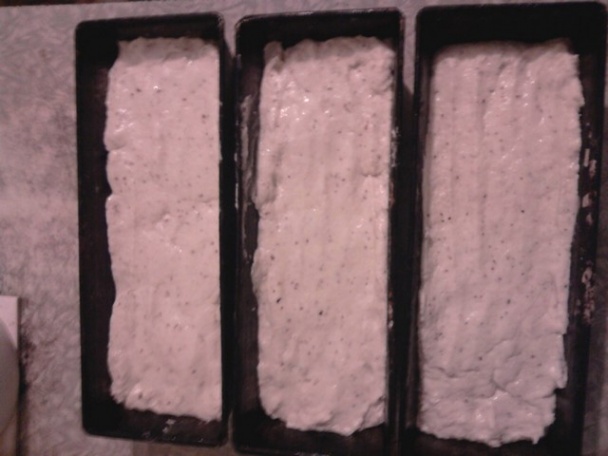 Bezlepkový domáci chlieb (fotorecept) - obrázok 4