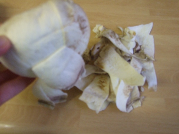 Howardove plnené huby  - obrázok 2