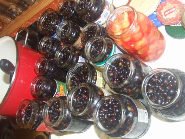 Kompót z čiernych ríbezlí (fotorecept) - obrázok 1