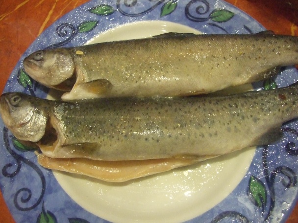 Plnené pstruhy (fotorecept) - obrázok 1