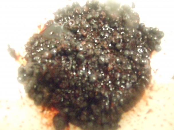 Kysnutý čučoriedkový koláč (fotorecept) - obrázok 1