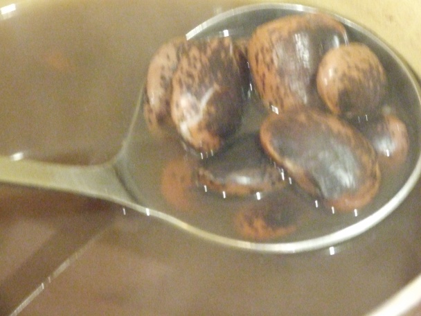 Švábovica (fotorecept) - obrázok 1