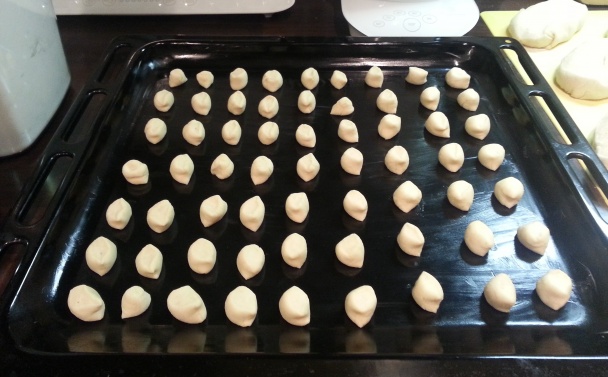 Paulínkine opekance (fotorecept) - obrázok 3