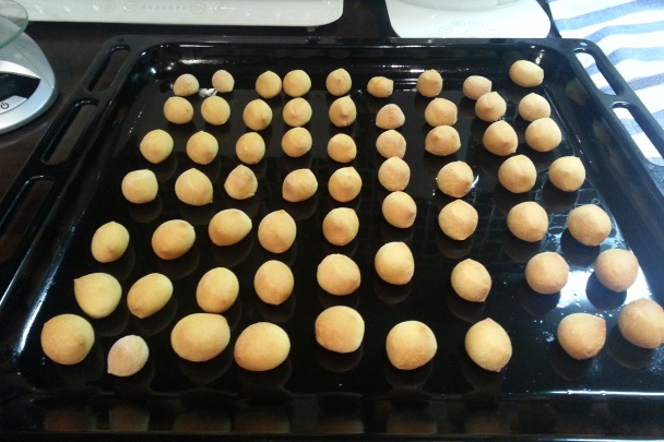 Paulínkine opekance (fotorecept) - obrázok 4