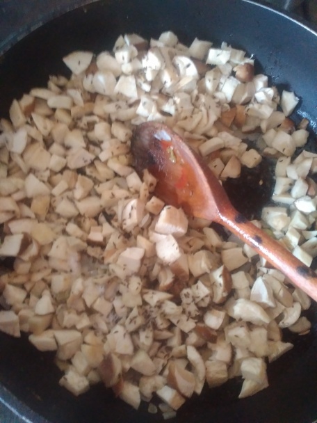 Hubové placky (fotorecept) - obrázok 1