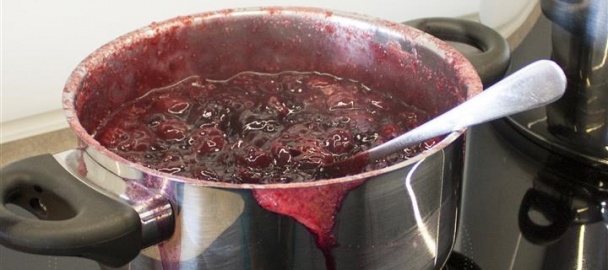 Višňový rez (fotorecept) - obrázok 3