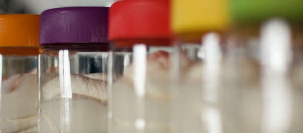 Hustý domáci jogurt (fotorecept) - obrázok 7