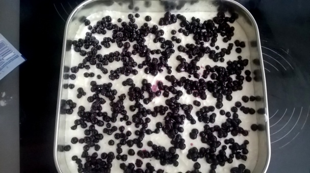 Čučoriedková dobrota (fotorecept) - obrázok 5