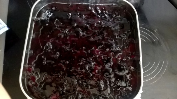 Čučoriedková dobrota (fotorecept) - obrázok 6